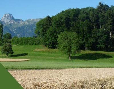 treffpunkt.thierachern