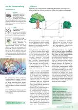 Seite 5