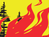Waldbrandgefahr