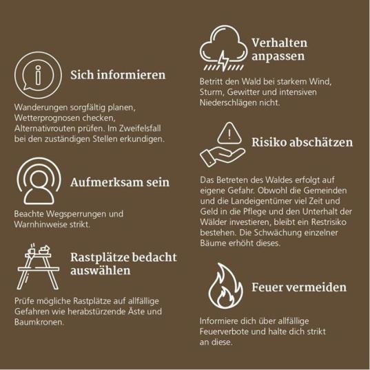 Wandern im Wald