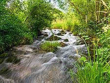 Sommer am Glütschbach