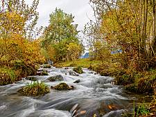 Herbst am Glütschbach