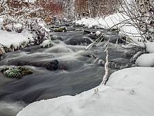 Winter am Glütschbach