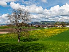Frühling vom Räbberg