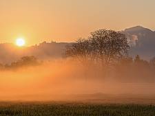 Sonnenuntergang mit Nebel