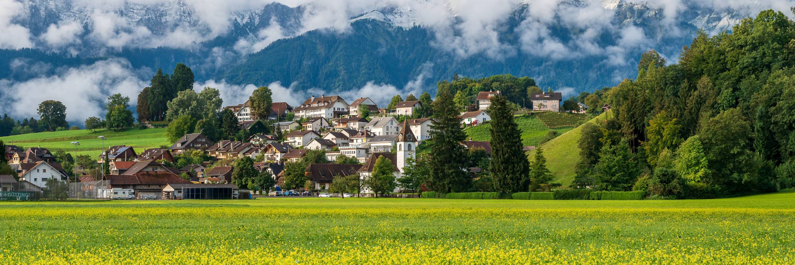 Sommer mit Blick auf Eggstutz, Stockhorn